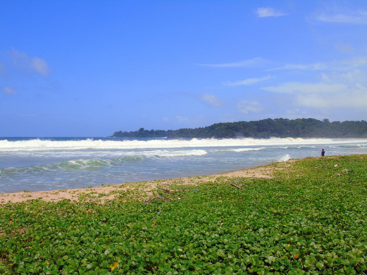 Talalla Coconut Hotel Luaran gambar